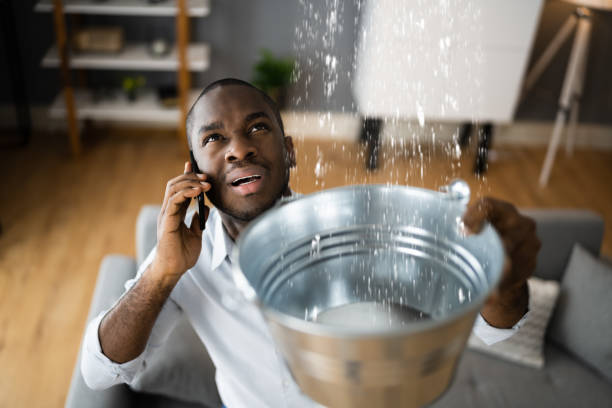 Best 24/7 water damage repair  in Dunnellon, FL