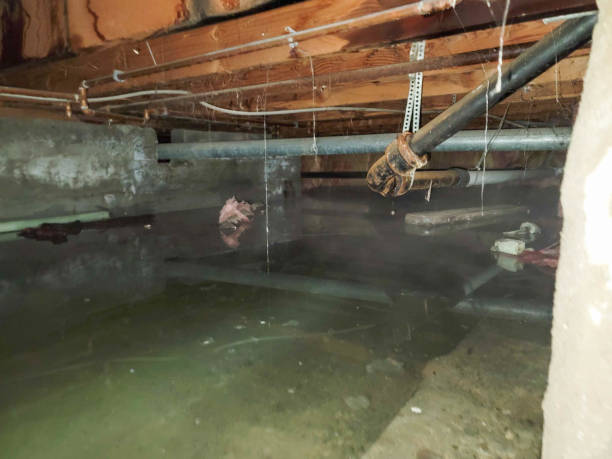 Dunnellon, FL Water damage restoration Company