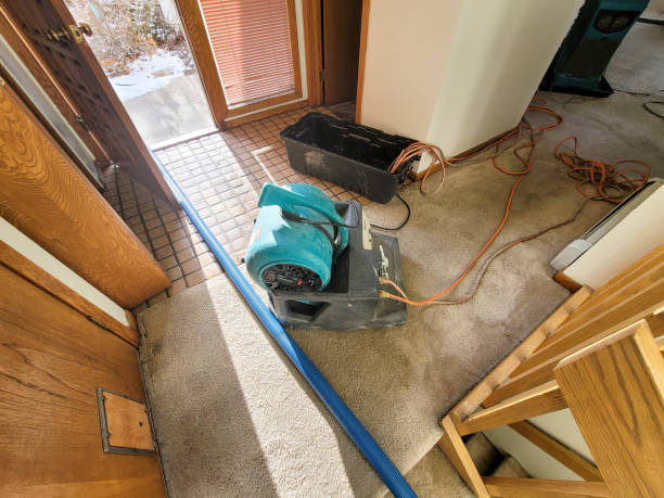 Best Local water damage restoration  in Dunnellon, FL