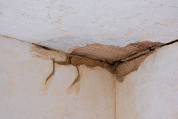Best Flood restoration services  in Dunnellon, FL