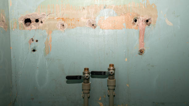  Dunnellon, FL Water damage restoration Pros