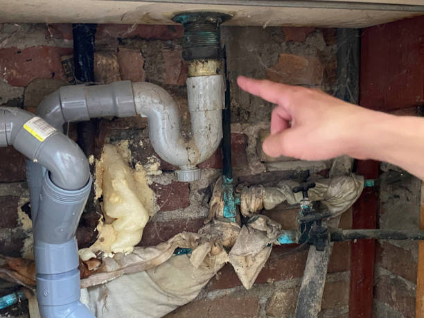 Best Professional water damage repair  in Dunnellon, FL