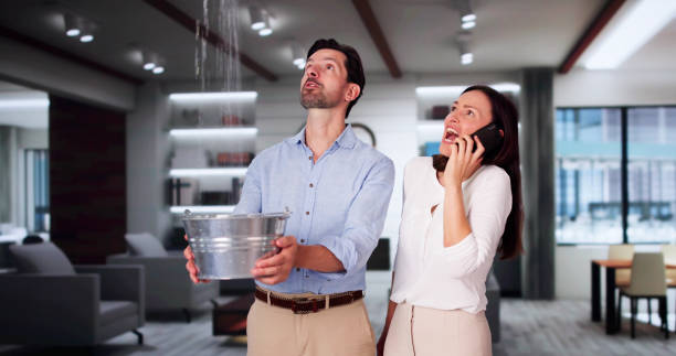 Best Water damage restoration near me  in Dunnellon, FL